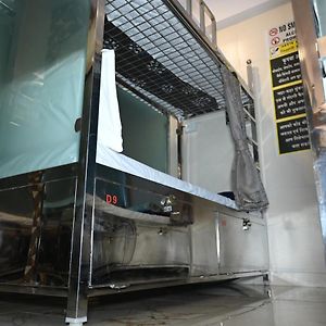 Bunk Bed Male Dormitory Room
